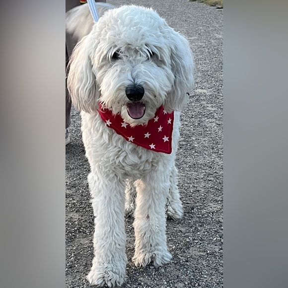 Meet your Posher, Hayley - Picture 3 of 16